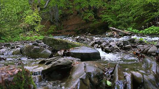 巨石野生森林河背景位于山河中部视频的预览图