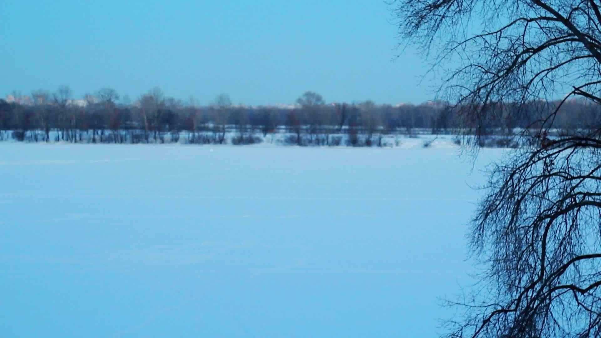 冬季自然全景冬季公园雪景视频的预览图