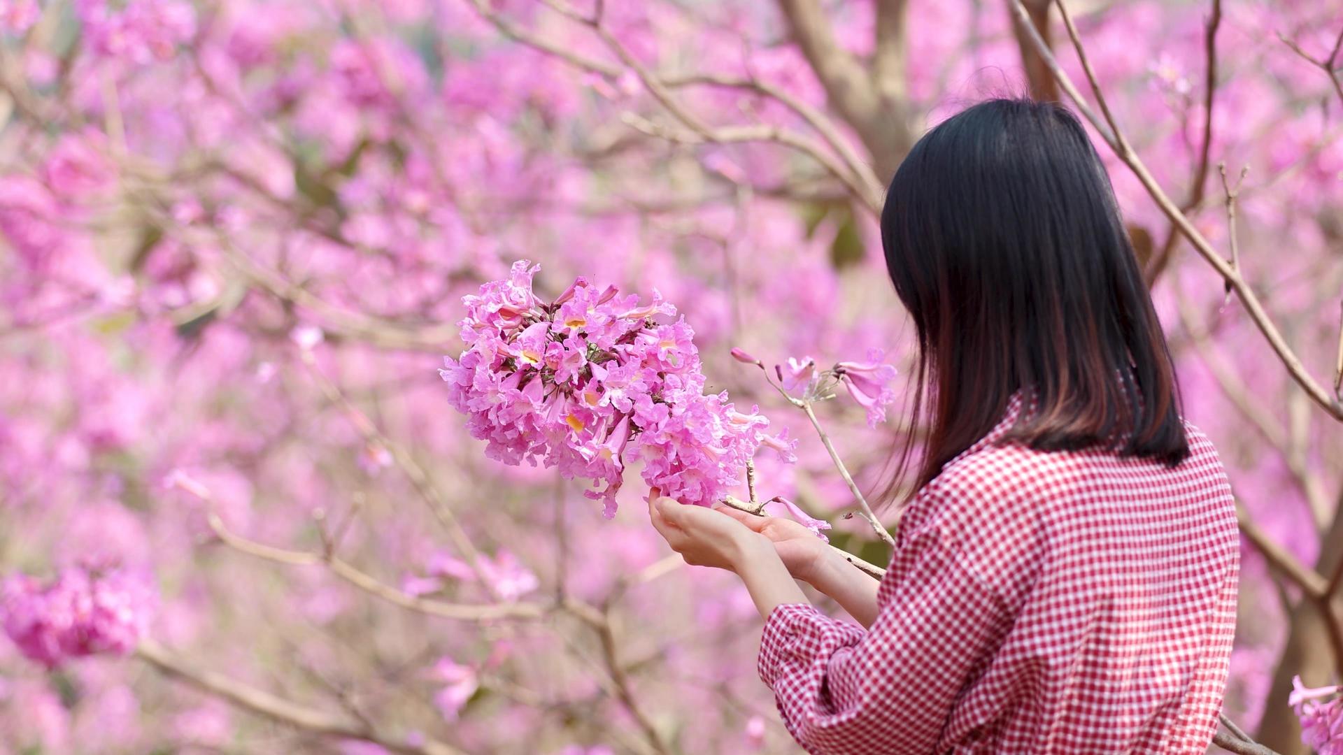 4K实拍春天女性背影手捧花朵视频的预览图