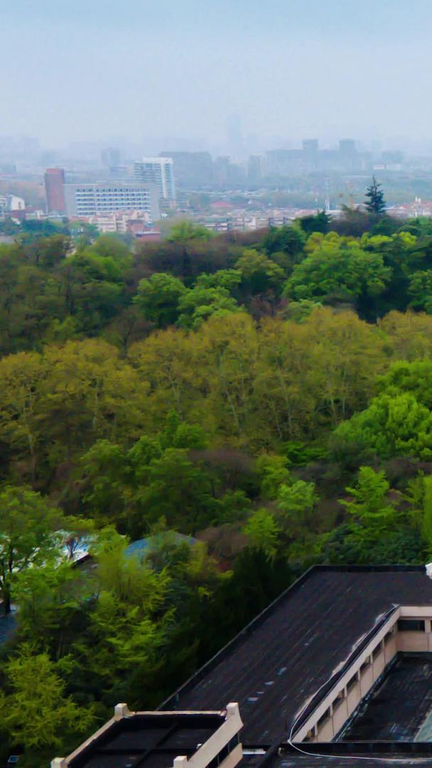 南京雨花台烈士陵园高清航拍视频的预览图