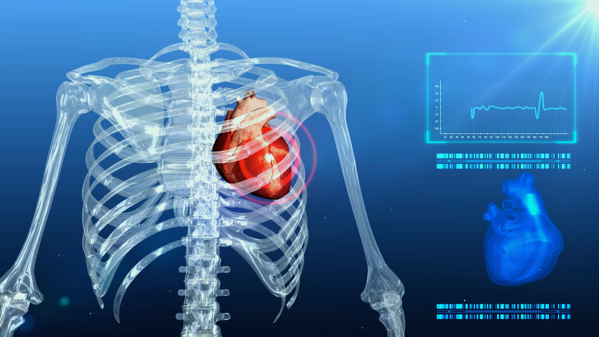 4K三维心脏医学背景视频的预览图