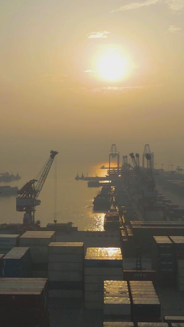 广州南沙自贸货柜码头码头视频的预览图