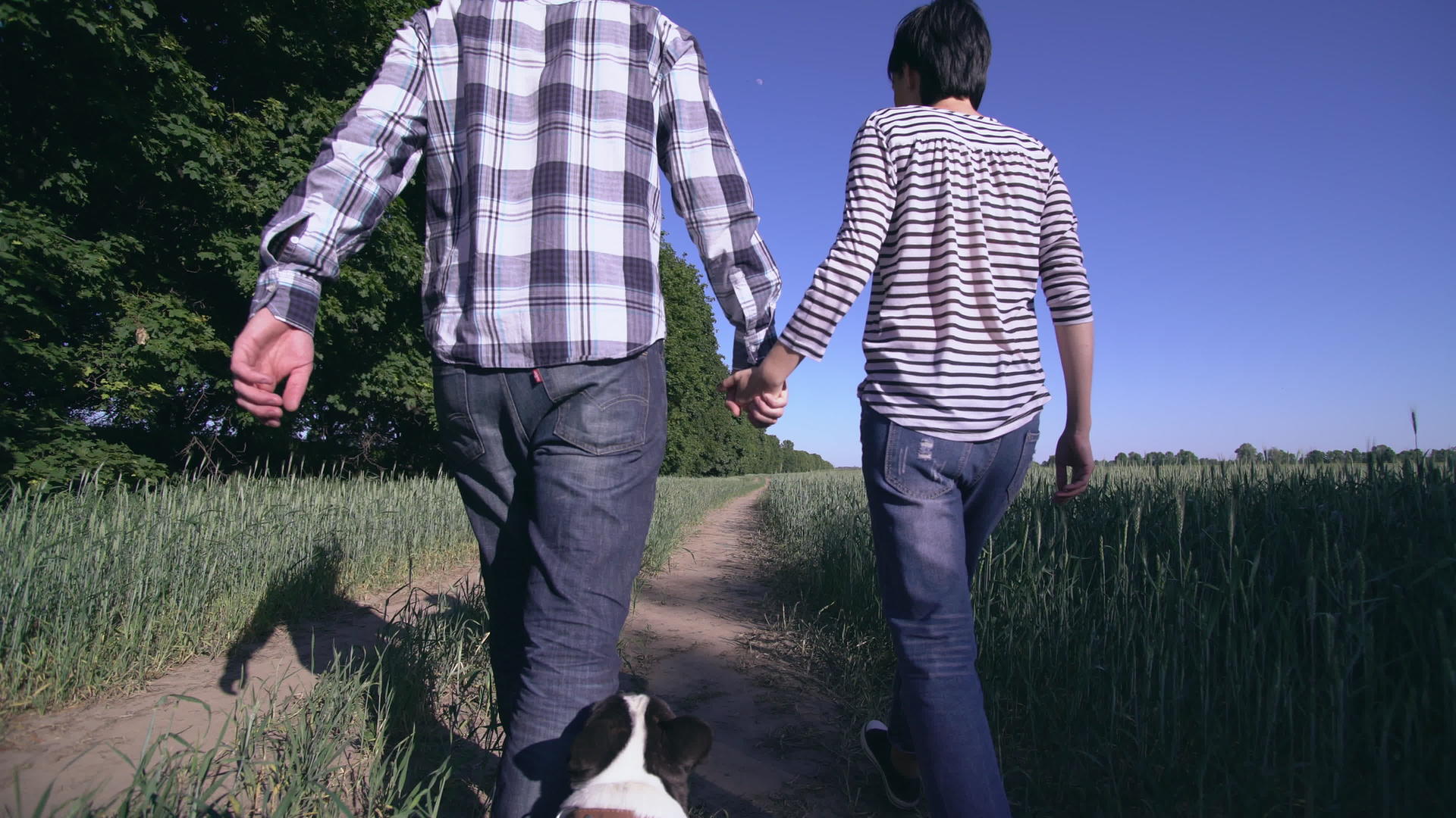 恋爱中的情侣遛狗视频的预览图