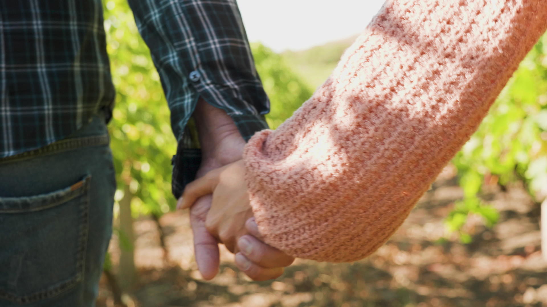 一对夫妇在葡萄园握手视频的预览图