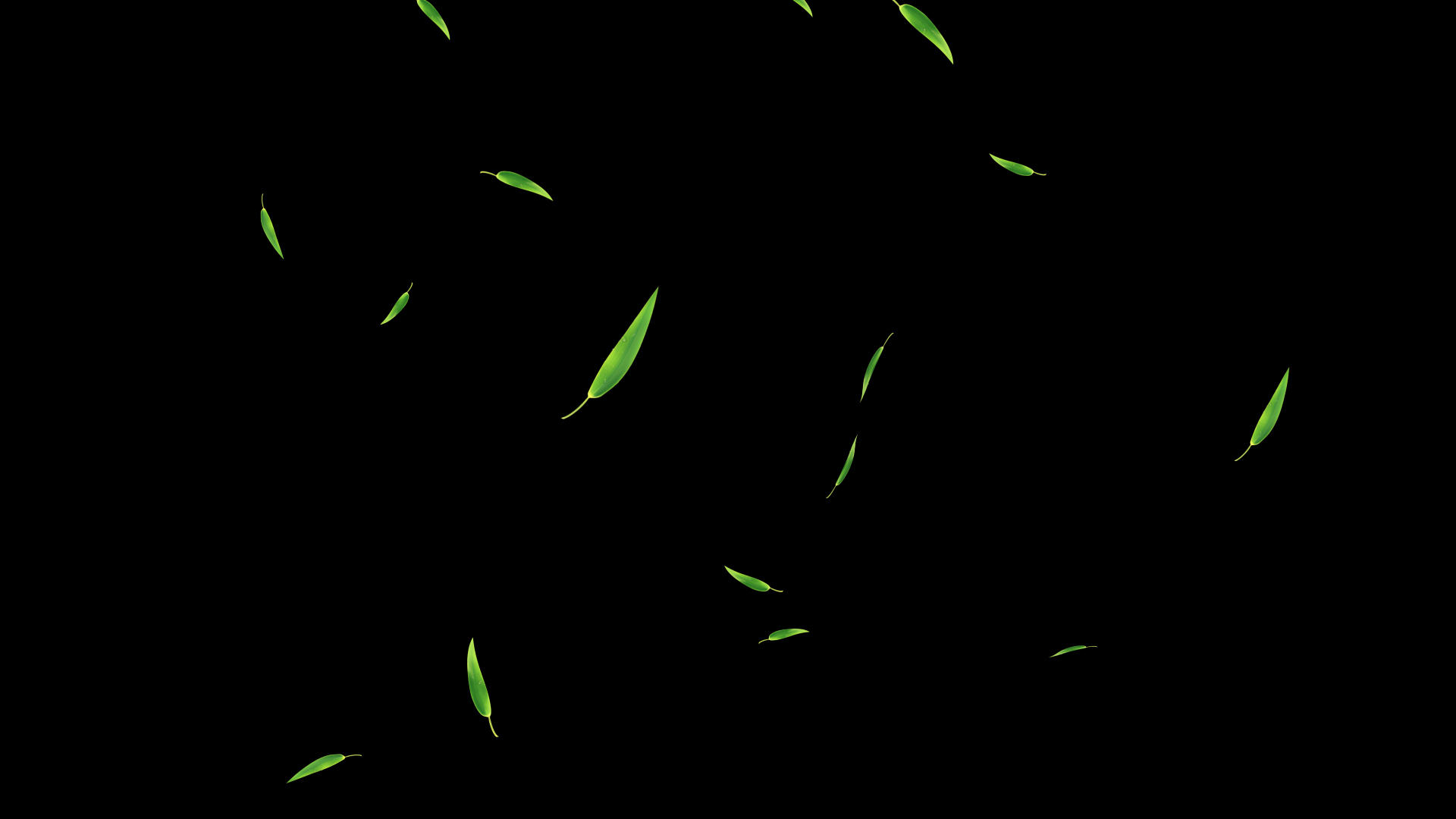 竹叶粒子中间漂浮下落（少量）视频的预览图