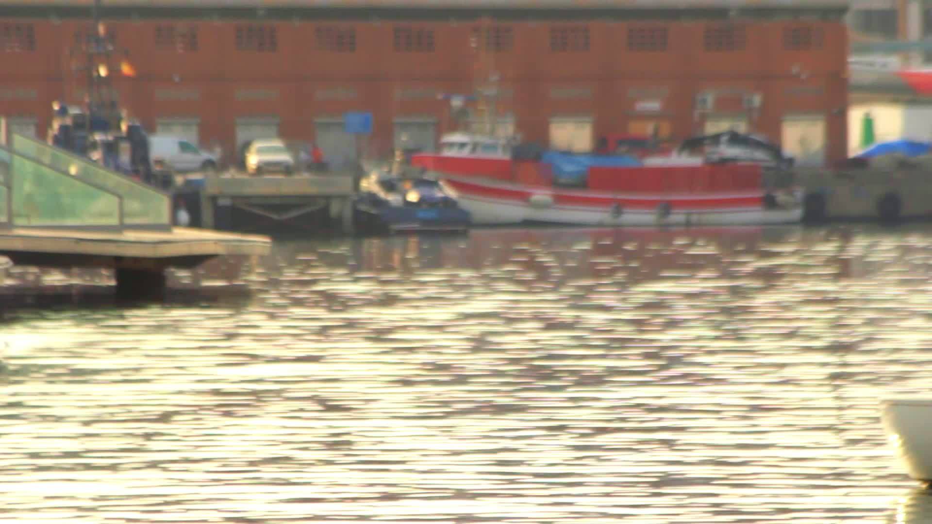 船只和雕像在巴塞罗那港码头视频的预览图