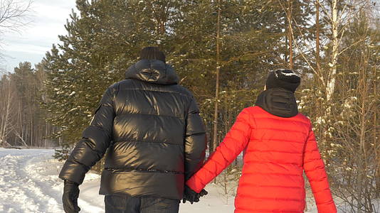 快乐的情侣男女在寒冷的冬季雪林中握手视频的预览图