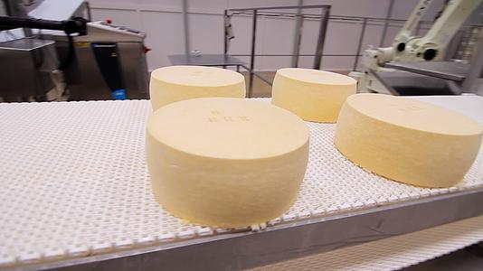 奶酪输送生产线视频的预览图
