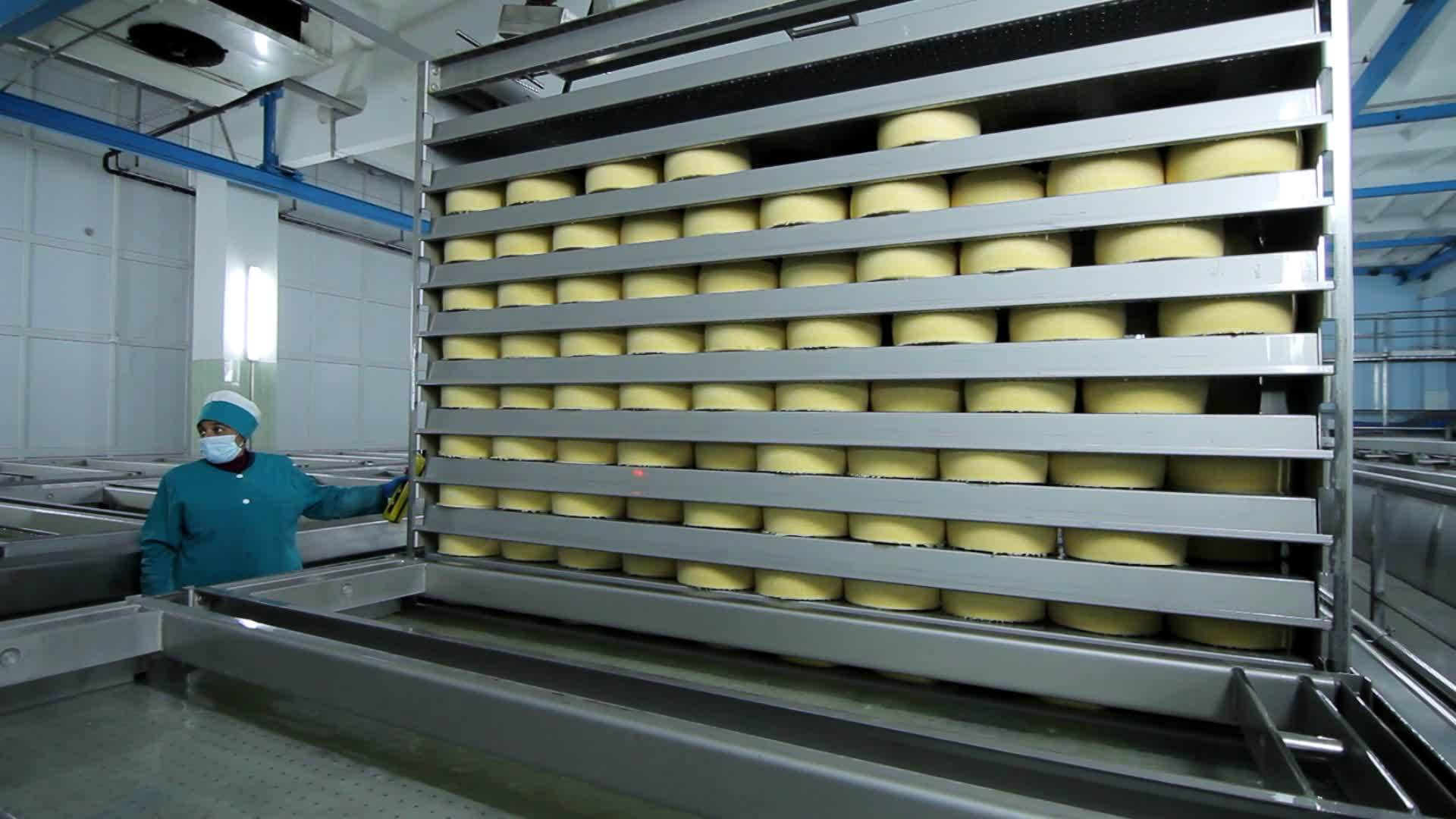 监测奶酪制造过程的技术人员视频的预览图