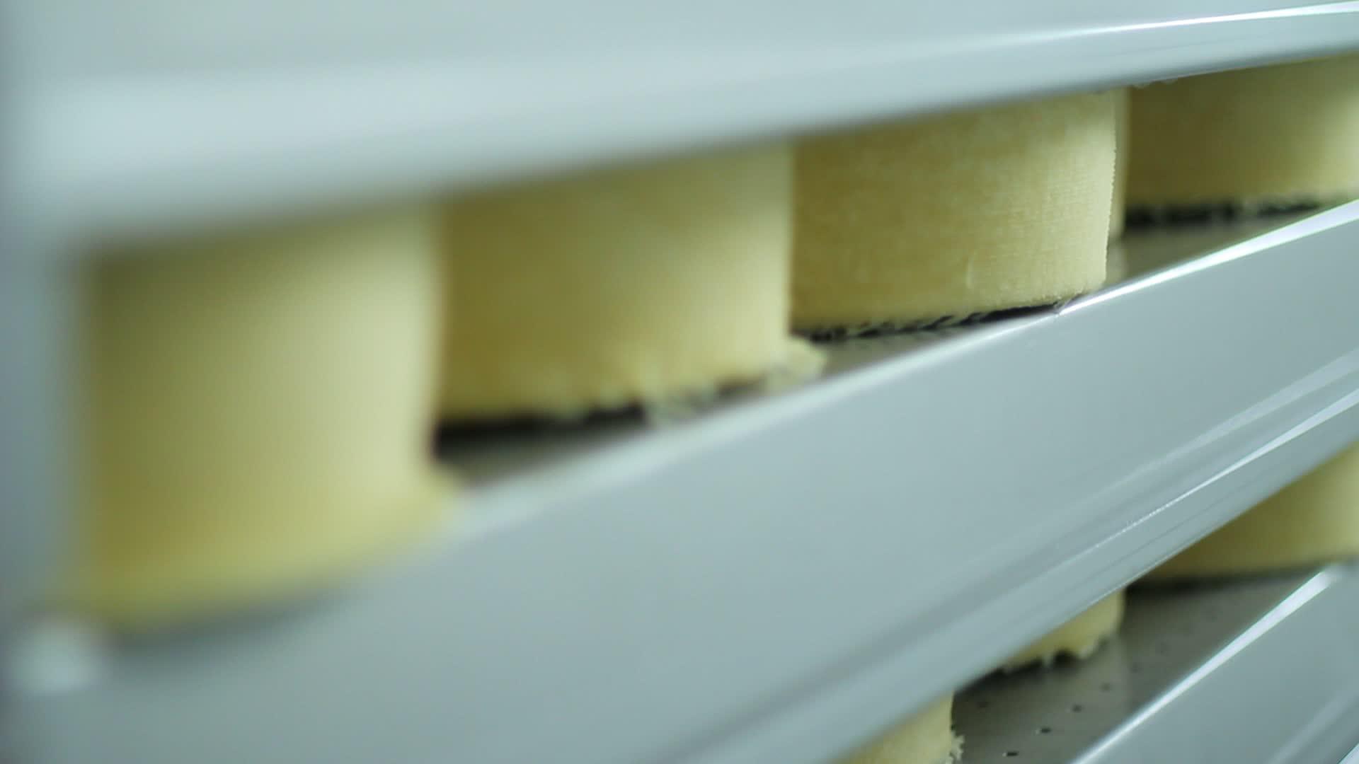 奶酪轮存放在工厂仓库货架上视频的预览图