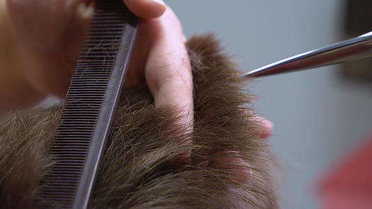 在美容院剪头发的特殊美发师视频的预览图