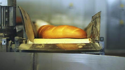 传送带上的面包厂面包生产线视频的预览图