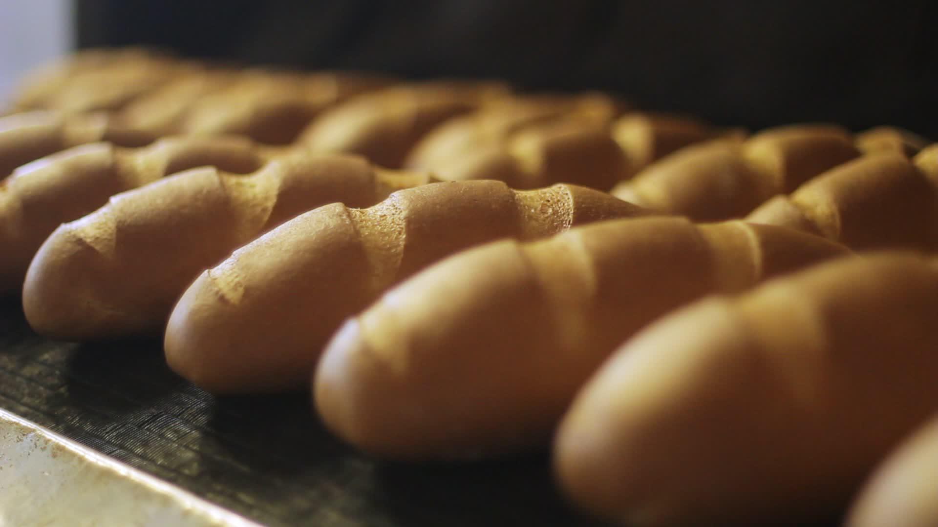 面包制品食品加工厂面包生产线食品工业视频的预览图