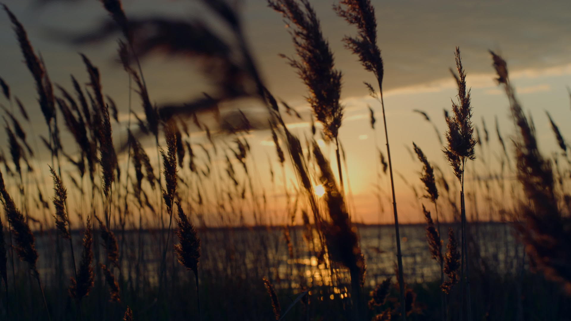 海滩美丽黄昏自然地平线日落视频的预览图
