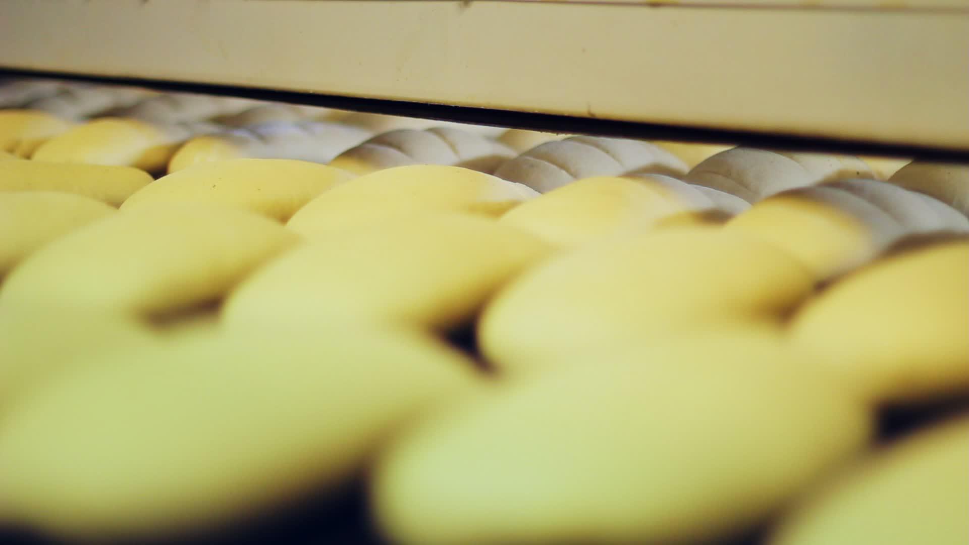 食品加工厂白面包生产工艺厂店视频的预览图