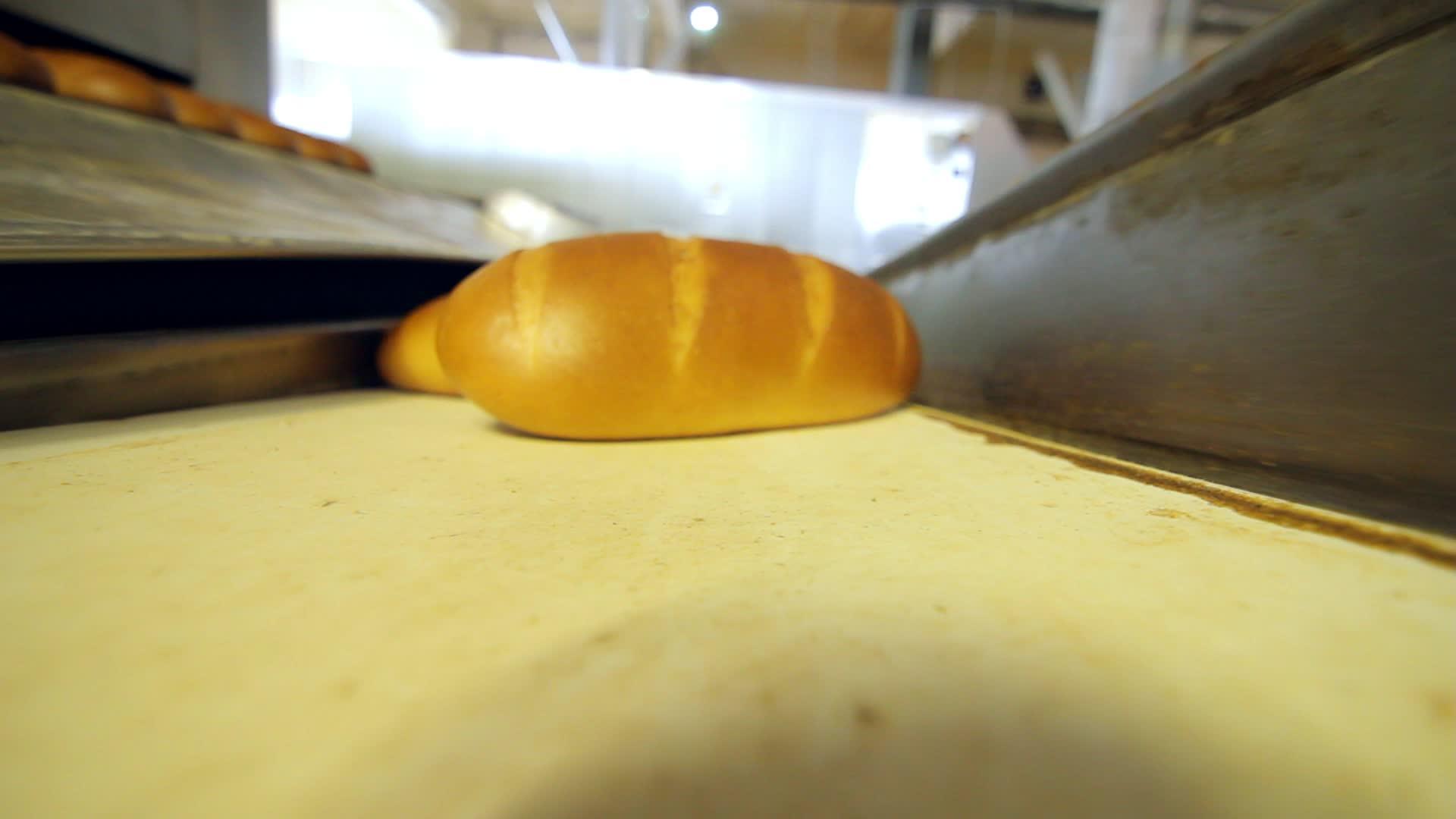 传送带上的新鲜面包和面包店的面包生产工艺视频的预览图