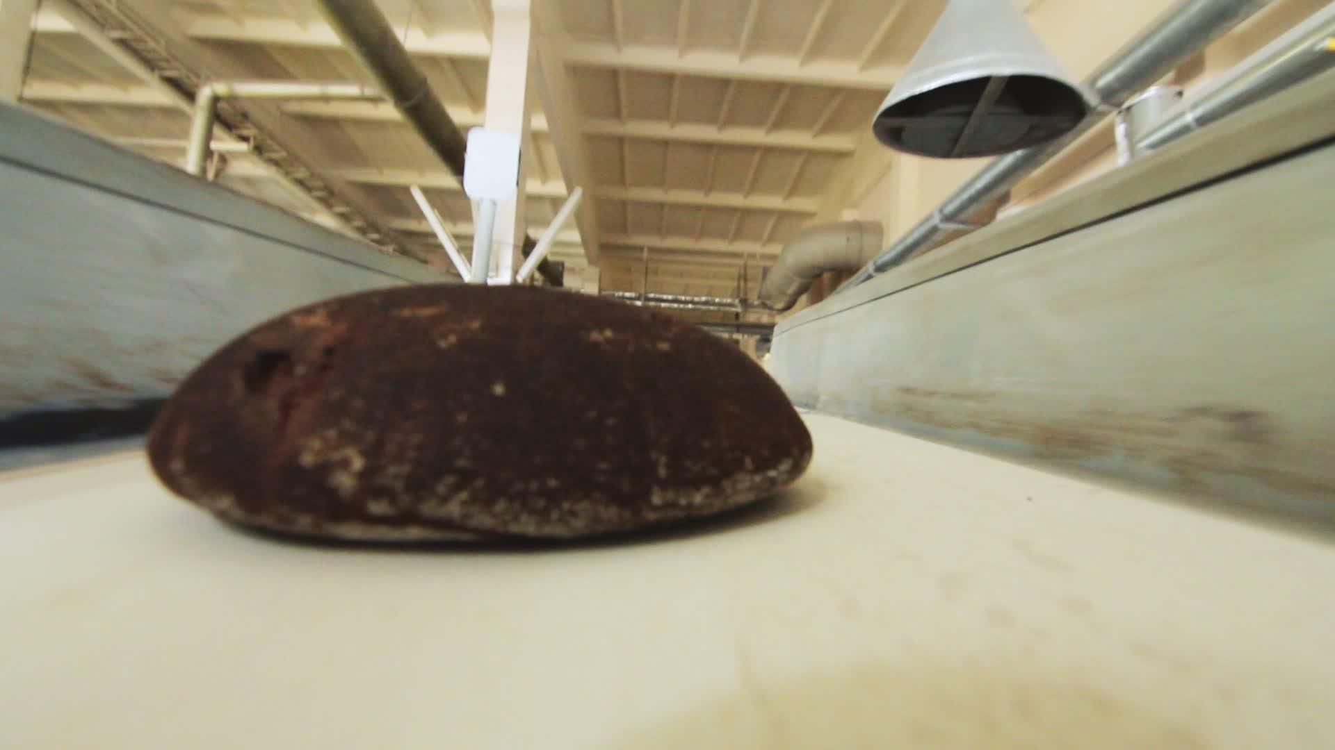 食品加工厂黑面包生产线视频的预览图