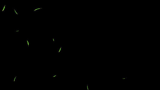 竹叶粒子漂浮下落视频的预览图
