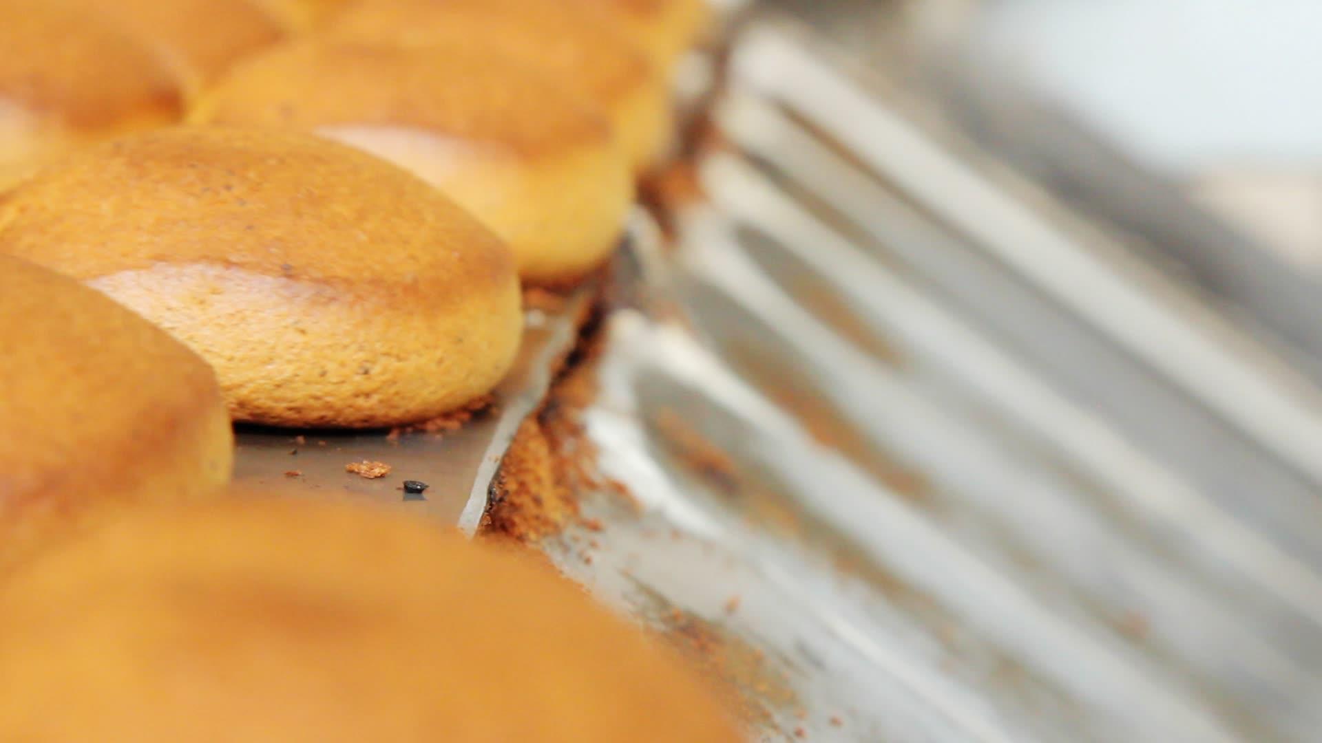 面包厂生产线上的饼干视频的预览图