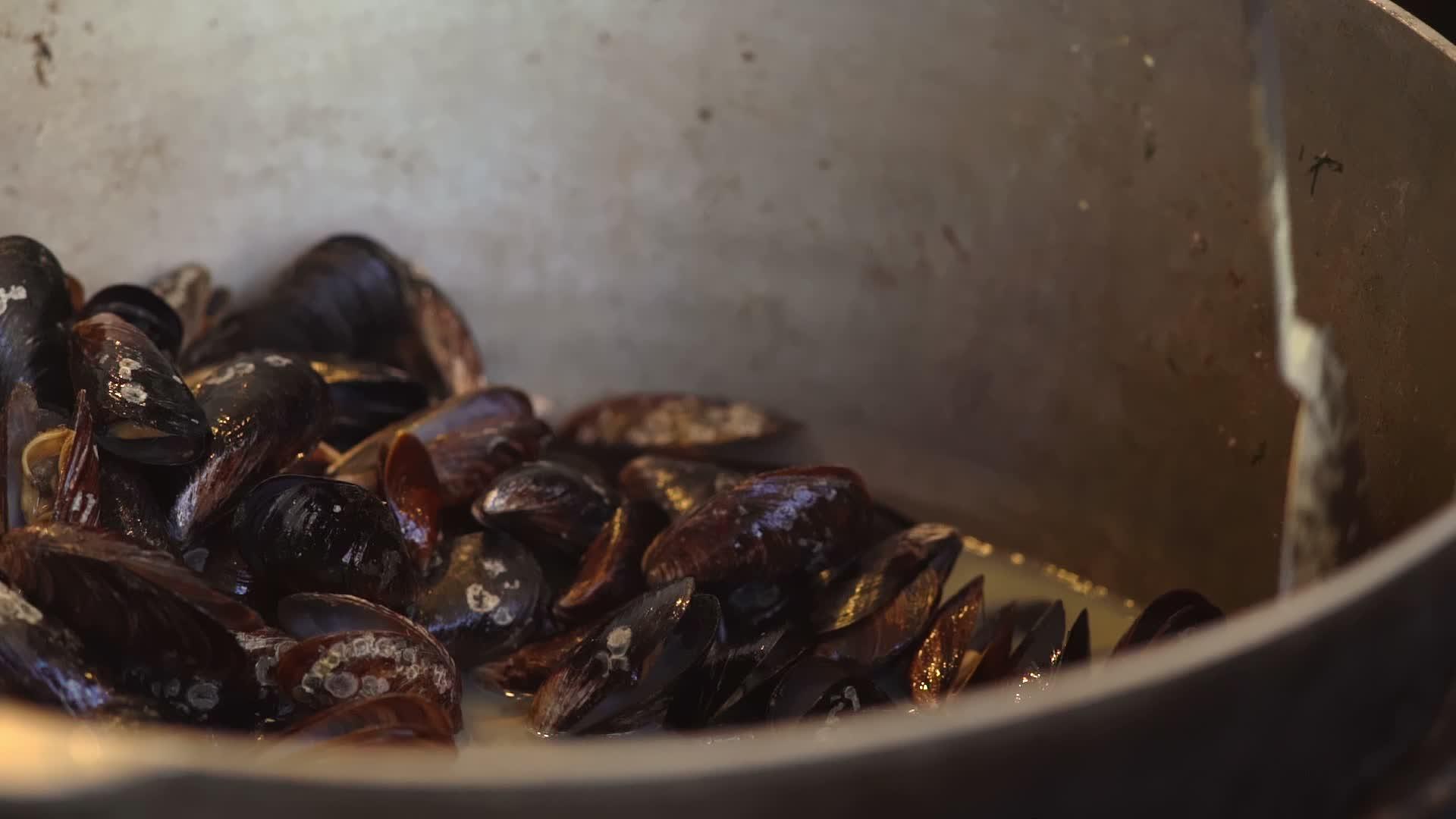 新鲜的海洋贝贝在大锅里煮熟视频的预览图