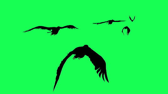 绿色屏幕上的飞鹰滑翔和射击3D动画短片视频的预览图