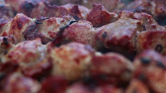 熟肉特写烤肉为野餐做烤肉串视频的预览图