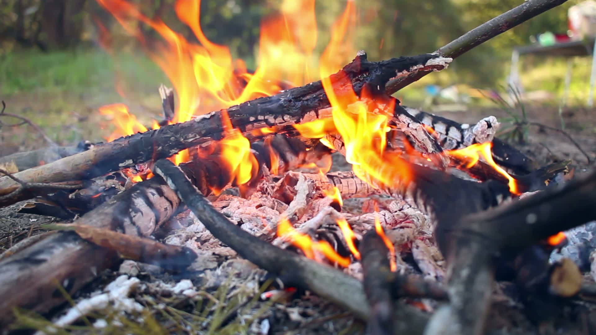 在自然背景下森林燃烧自然背景视频的预览图
