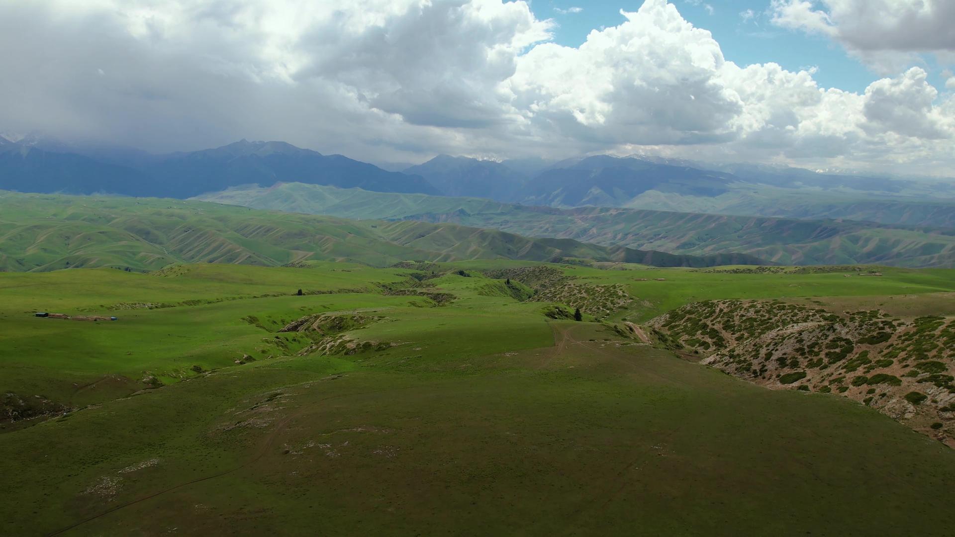航拍5A被天山山脉环抱的喀拉峻大草原风景区视频的预览图