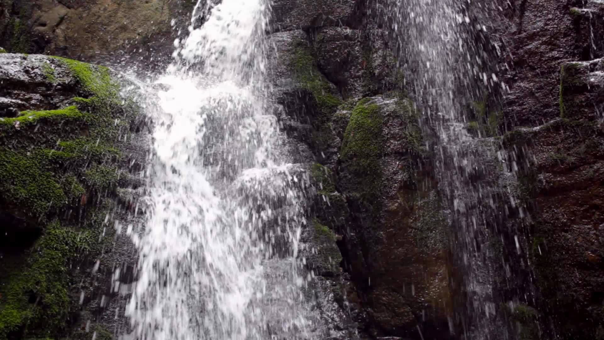在岩石状山区冲洗的绿藻石中水流视频的预览图