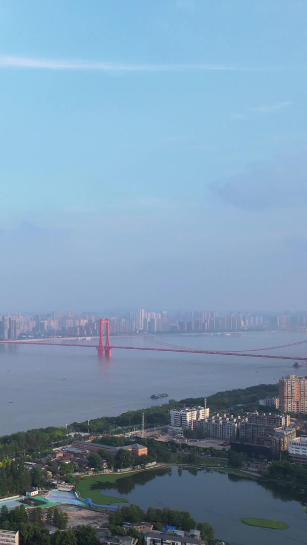 航拍城市蓝天白云地标电视塔长江江景桥道路街景素材视频的预览图
