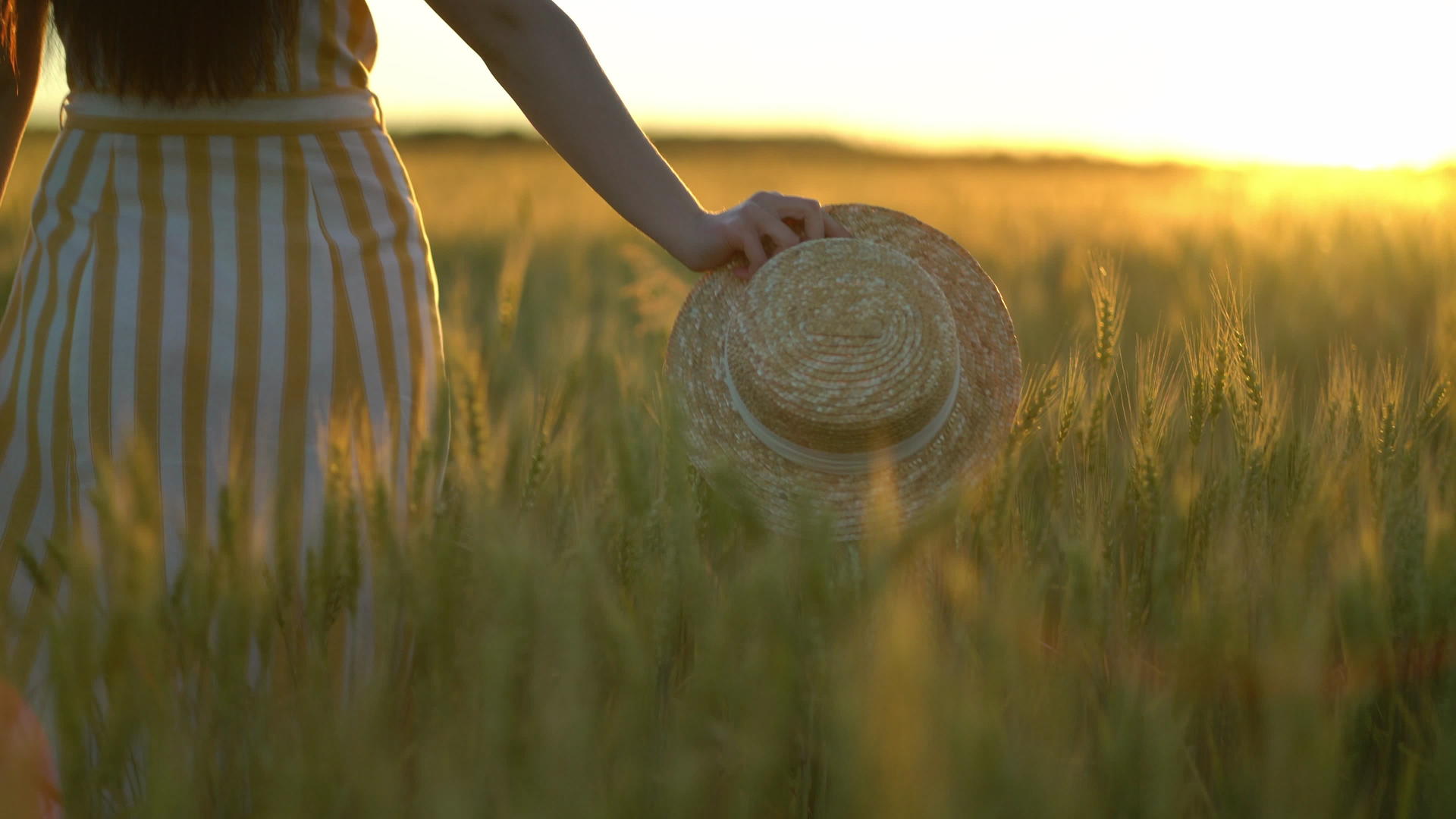 一名妇女用草帽在麦田里走来走去视频的预览图