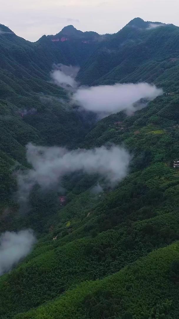 赤水竹海景区云雾航拍视频的预览图