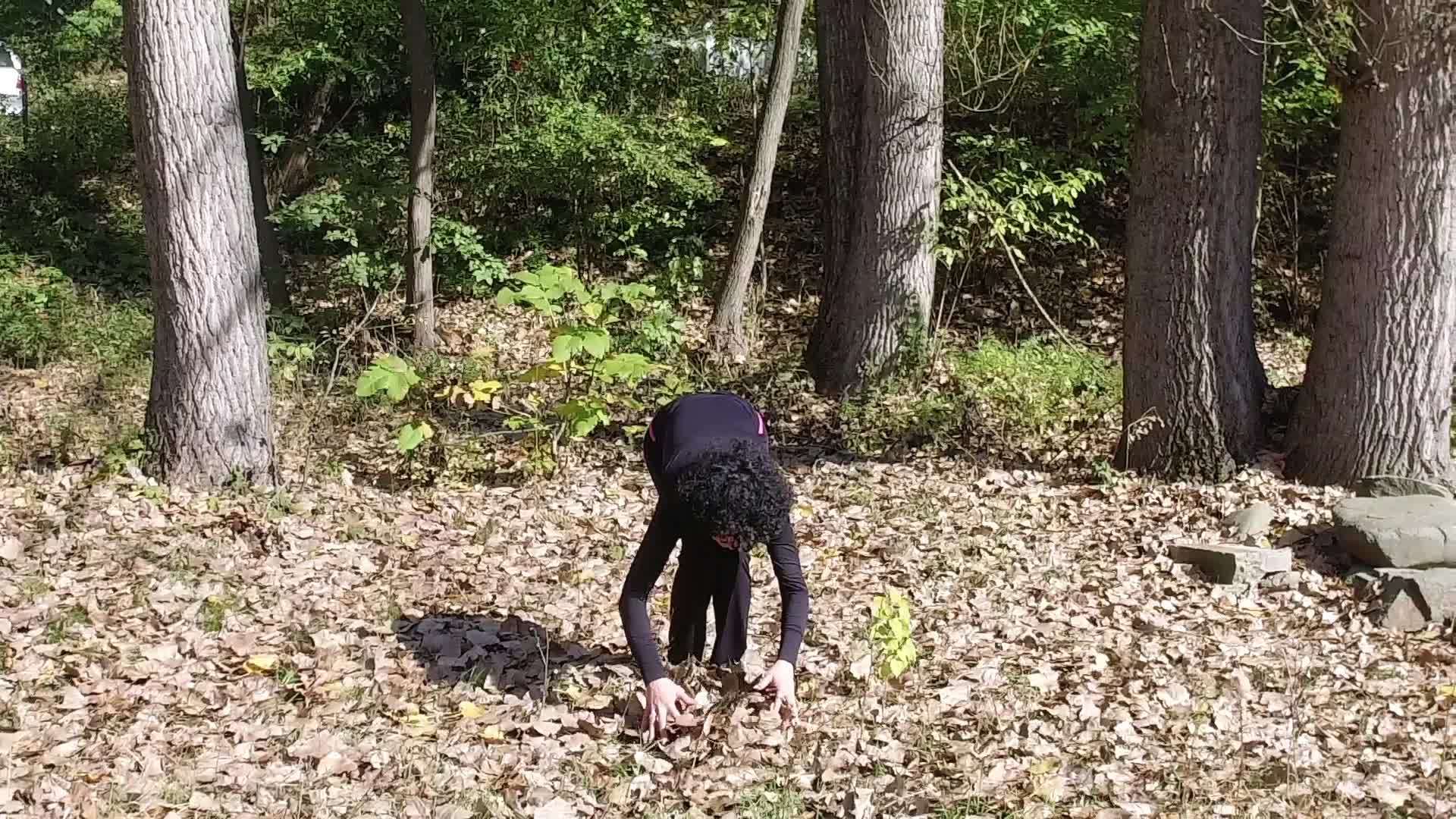 女人在秋天的公园里慢慢地扔金叶视频的预览图