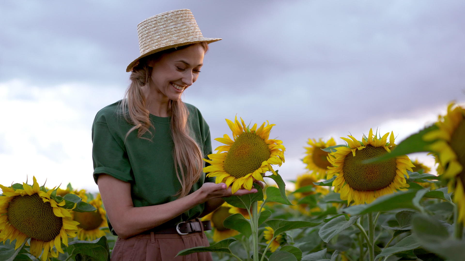 女农民站在农业向日葵田白种女农民草帽肖像农业综合农业视频的预览图