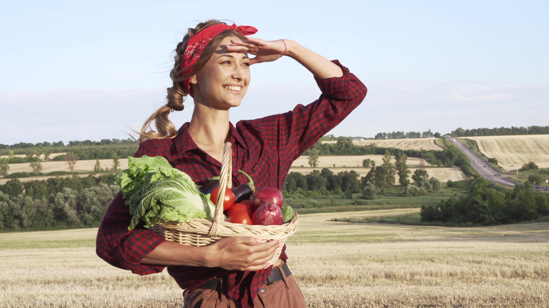 女农民拿着篮子蔬菜洋葱番茄沙拉黄瓜站在农田里微笑着女农民视频的预览图
