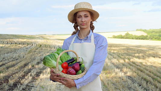 农民草帽拿着篮子蔬菜洋葱沙拉黄瓜站在农田里微笑着视频的预览图