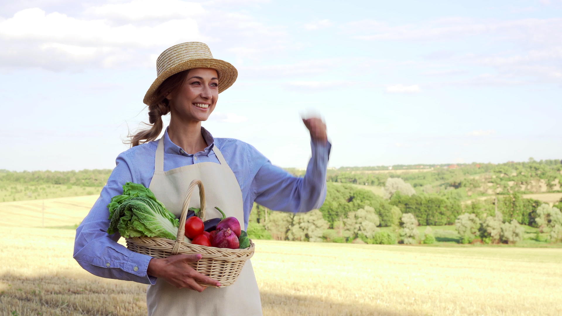 农民草帽拿着篮子蔬菜洋葱沙拉黄瓜站在农田里微笑着视频的预览图