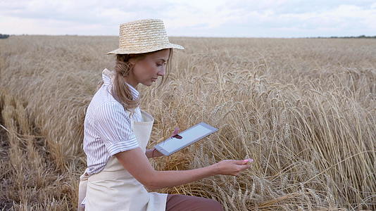 女农民草帽智能农业坐在农田里微笑着使用数字平板电脑视频的预览图