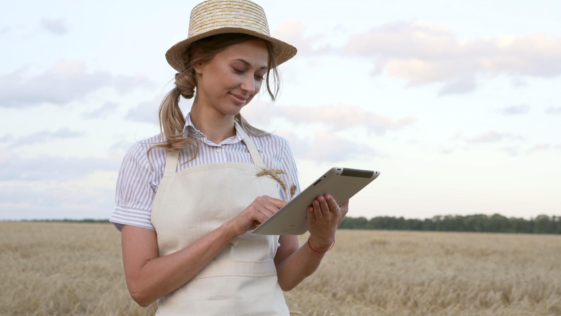 女农民草帽智能农业站立农田使用数字平板电脑微笑视频的预览图
