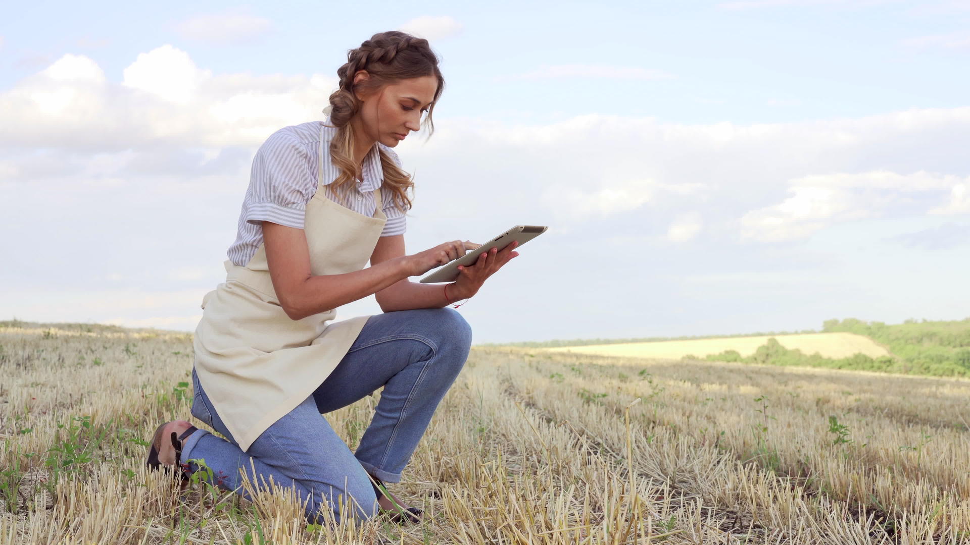 女农民草帽智能农业坐在农田里微笑着使用数字平板电脑视频的预览图