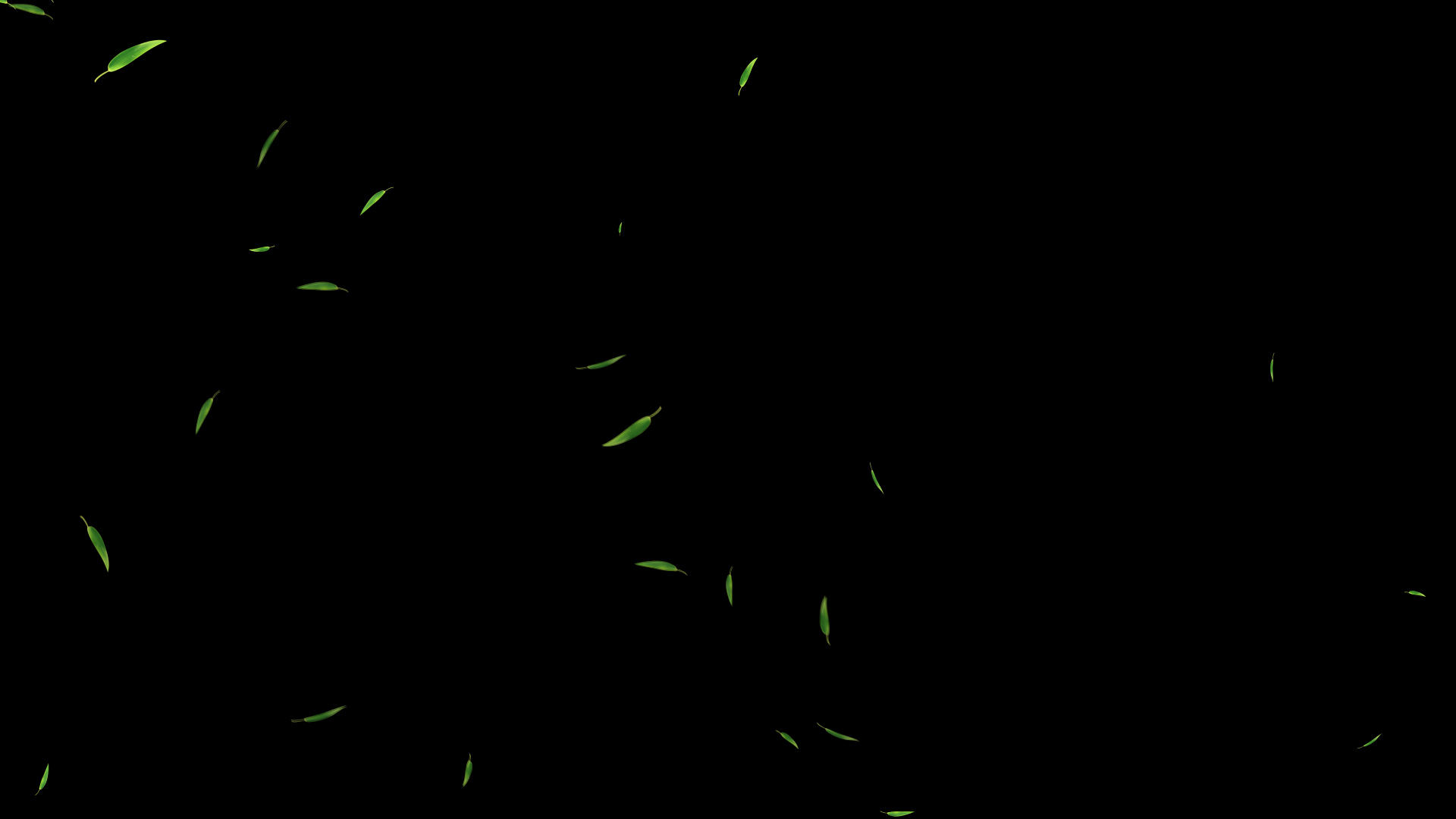 竹叶粒子漂浮下落(较多）视频的预览图