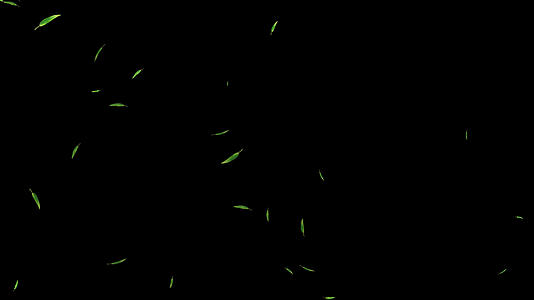 竹叶粒子漂浮下落(较多）视频的预览图