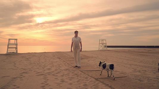 日落时在海滩上散步的女狗在海滩上散步的两只狗视频的预览图