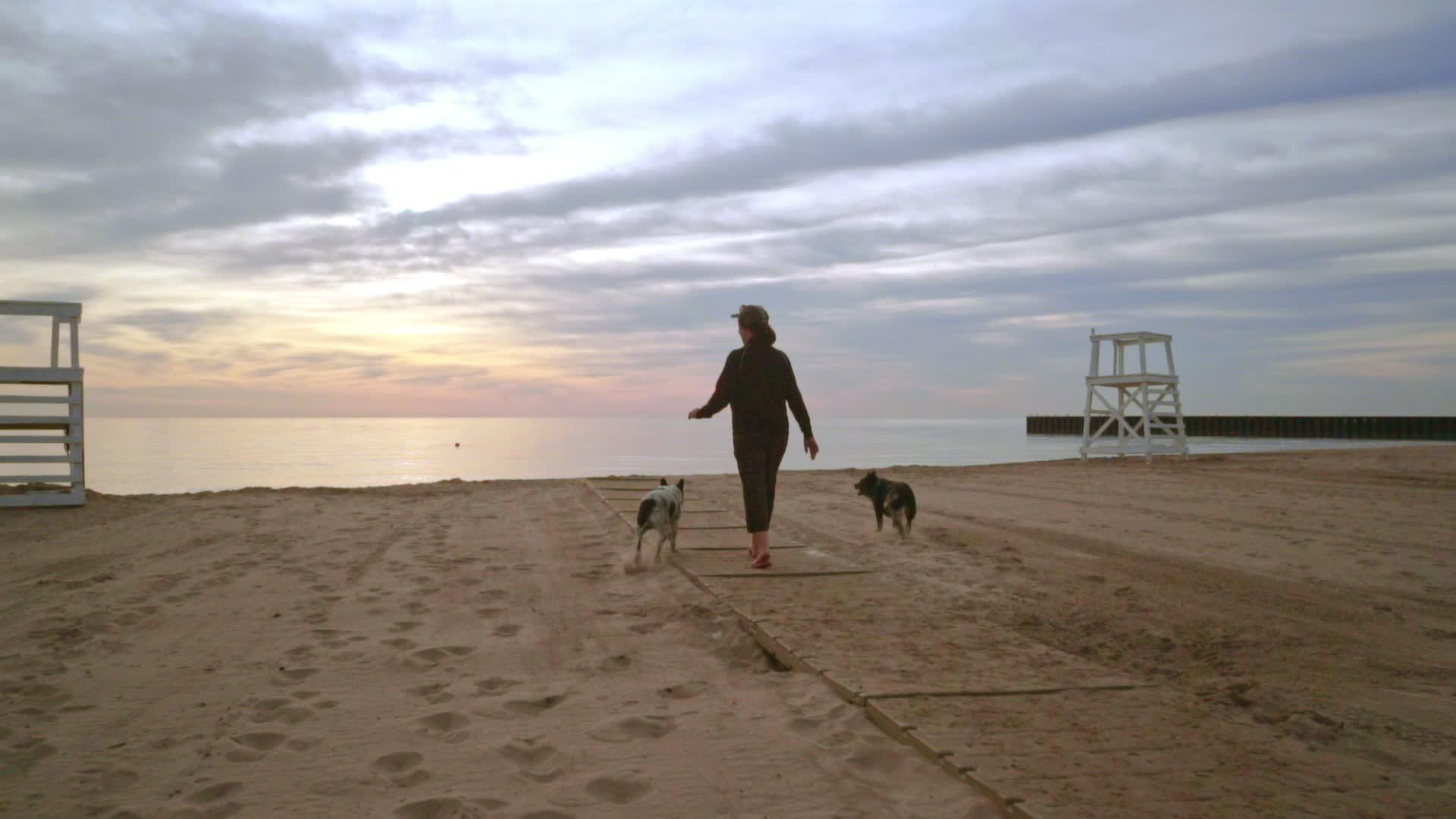 日出女孩和两只狗在海滩上散步视频的预览图