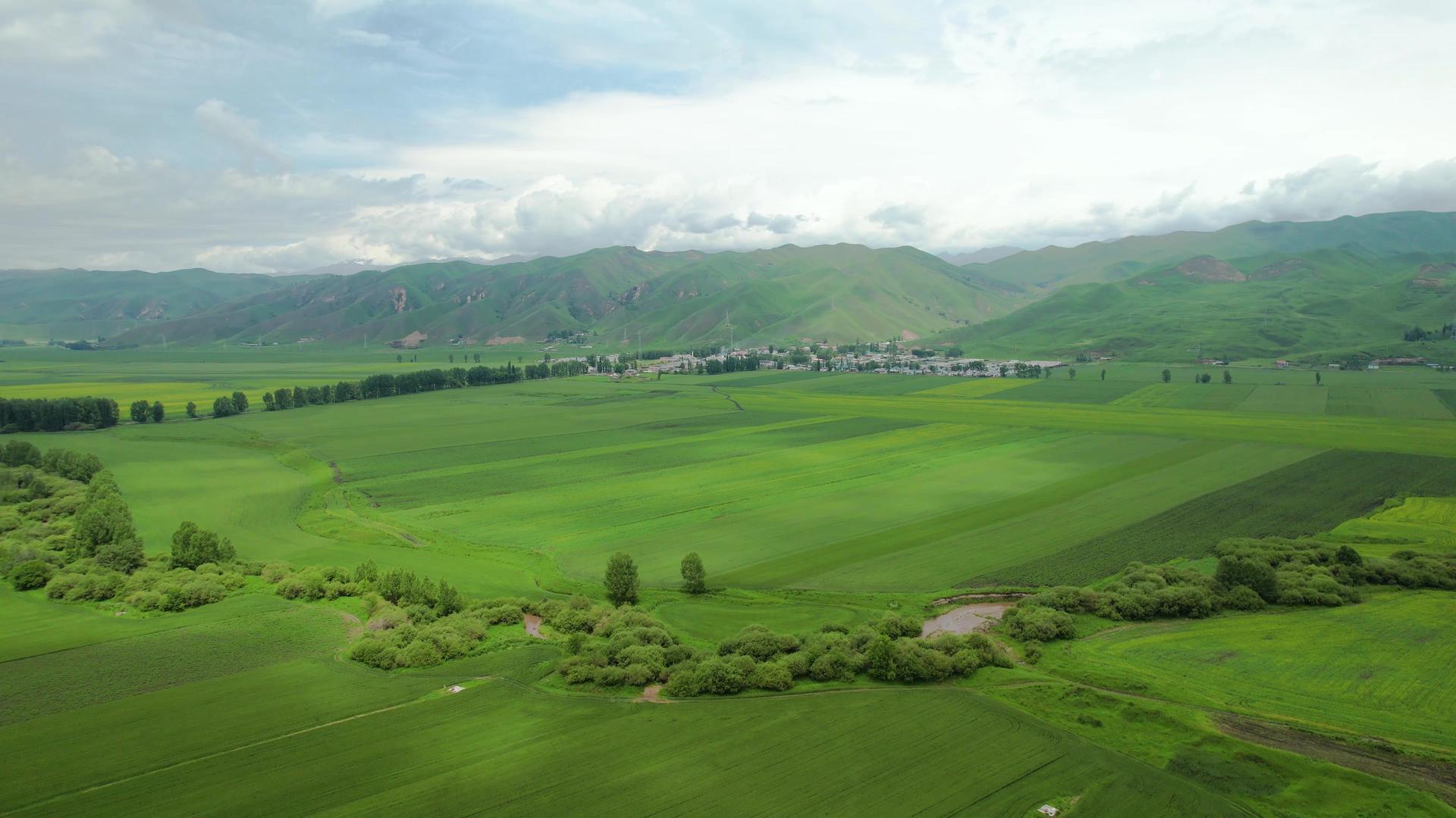 航拍4A景点伊犁唐布拉大草原自然风光视频视频的预览图