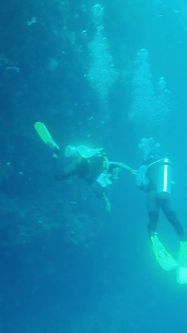 潜水员潜水的海底实拍视频的预览图