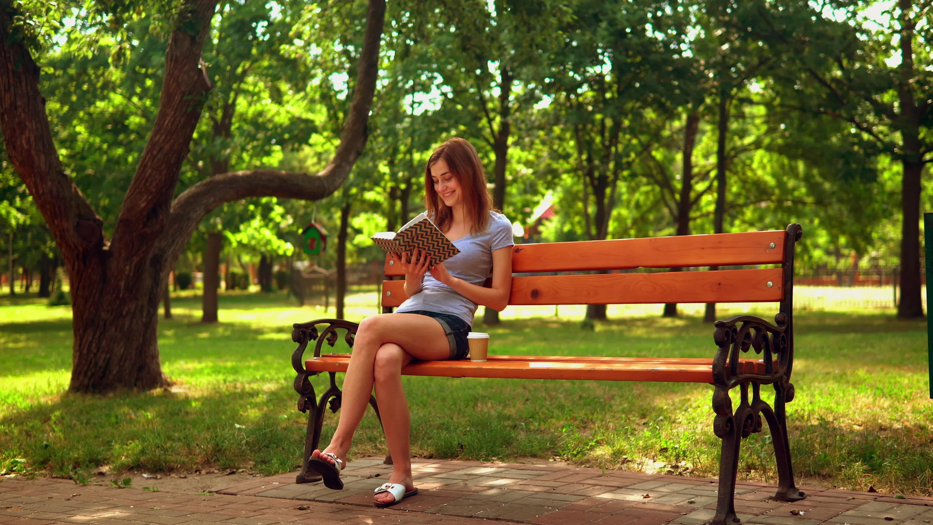 女性在户外阅读有趣的小说视频的预览图