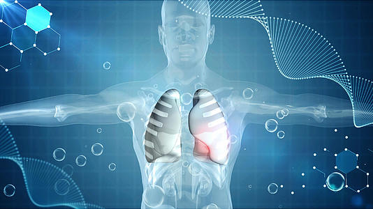 4K三维肺部医学背景视频的预览图