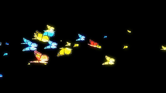 透明通道蝴蝶视频素材视频的预览图