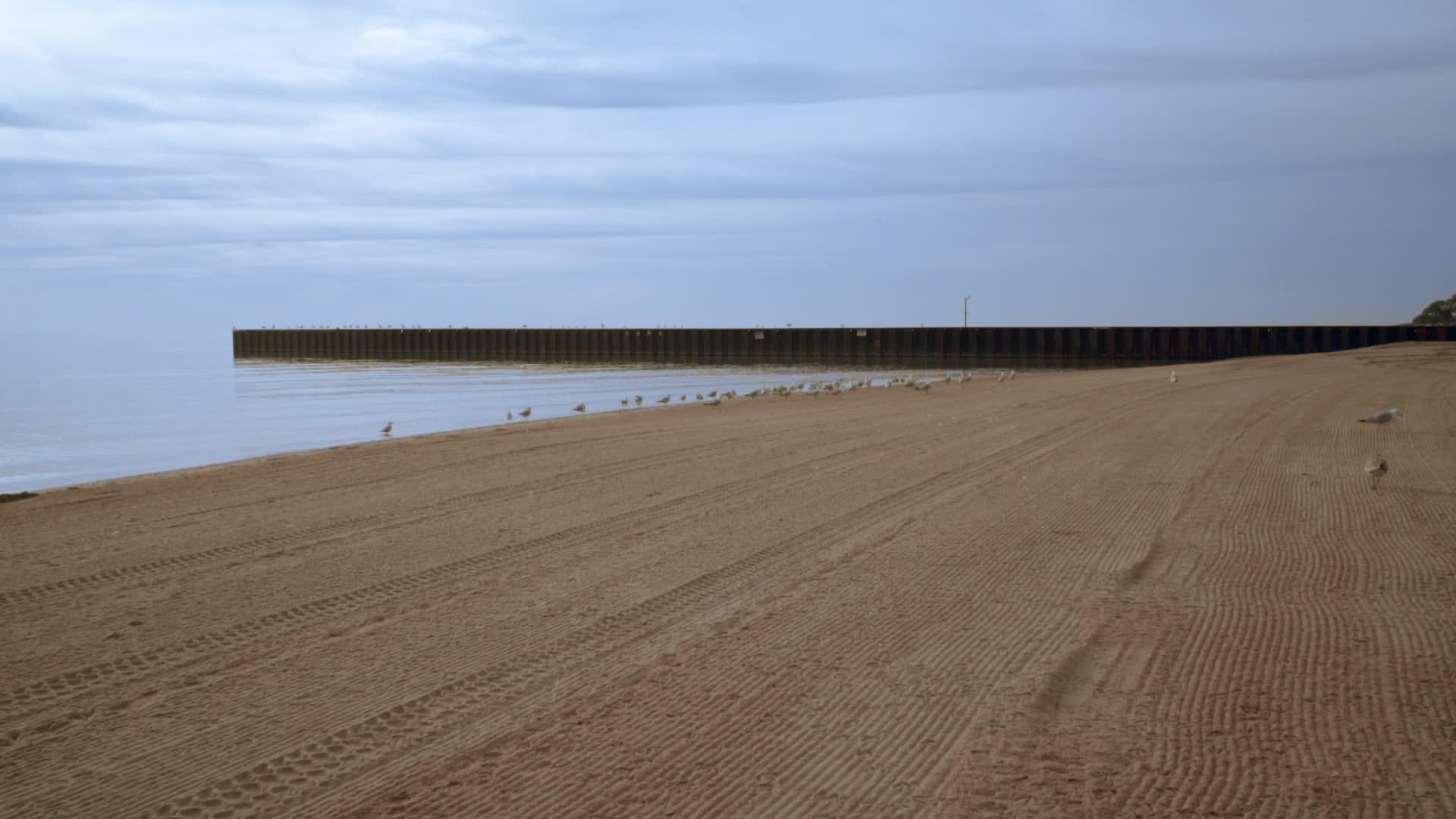 有海鸥和码头的海滩海滩背景海鸥视频的预览图